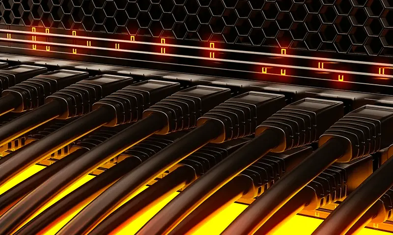 Close-up of a row of network cables plugged into a server.