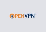 Open VPN + Domotz Integration